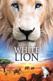Le Lion blanc de la vallée de Limpopo